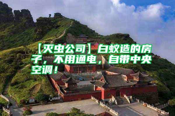 【滅蟲公司】白蟻造的房子,不用通電,自帶中央空調!