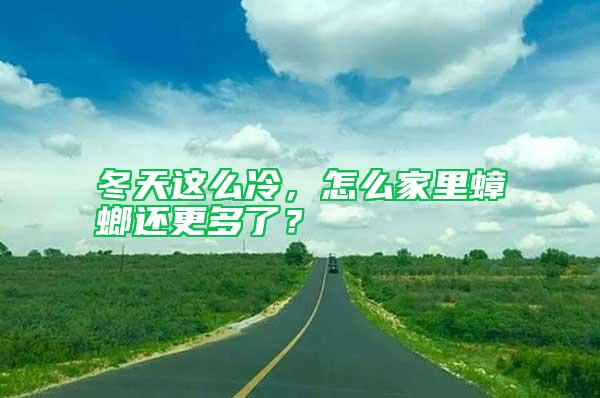冬天這么冷,怎么家里蟑螂還更多了?