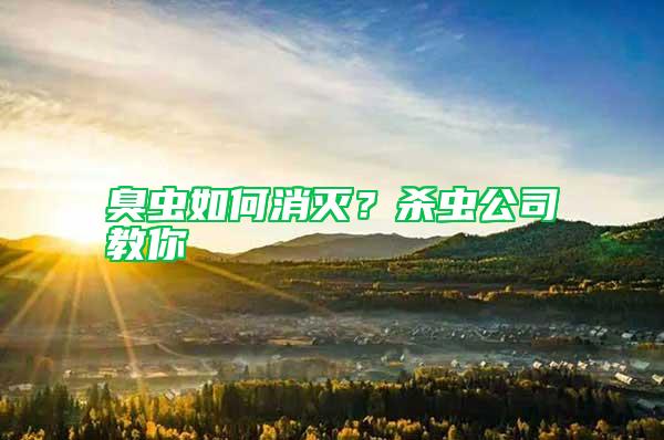 臭蟲如何消滅？殺蟲公司教你