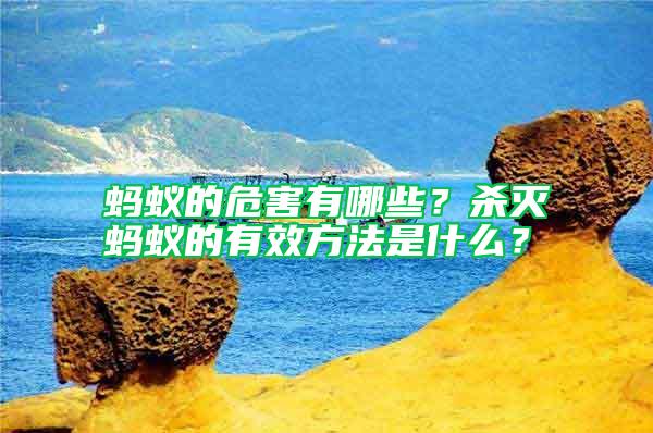 螞蟻的危害有哪些？殺滅螞蟻的有效方法是什么？