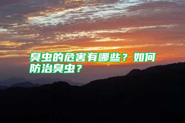 臭蟲的危害有哪些？如何防治臭蟲？