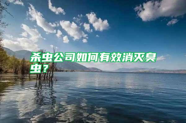 殺蟲公司如何有效消滅臭蟲?