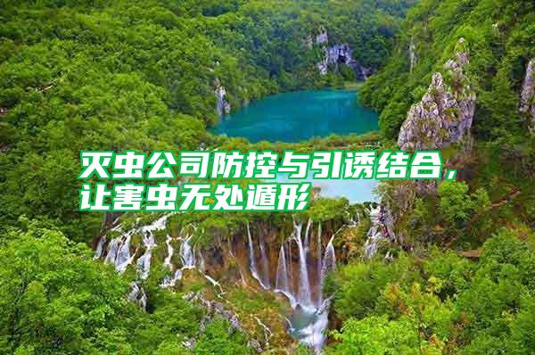 滅蟲公司防控與引誘結合，讓害蟲無處遁形