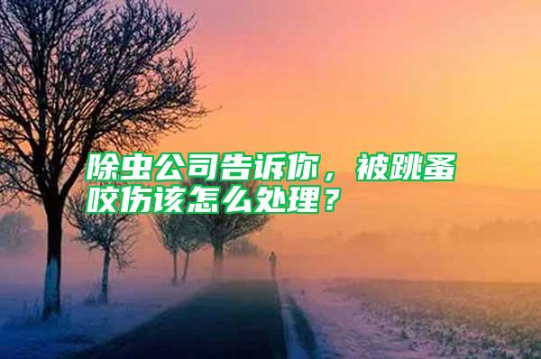 除蟲公司告訴你,被跳蚤咬傷該怎么處理?