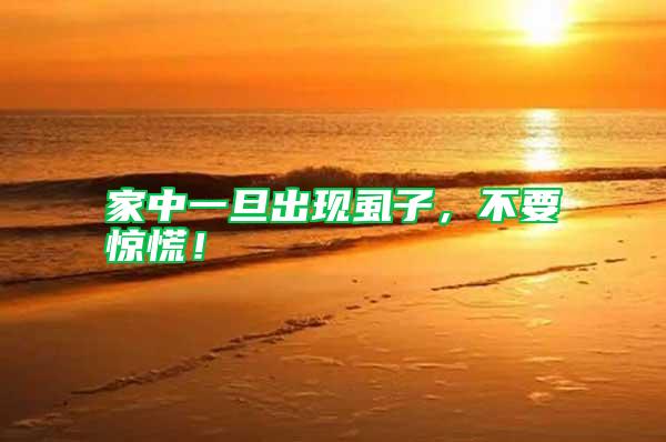 家中一旦出現(xiàn)虱子，不要驚慌！