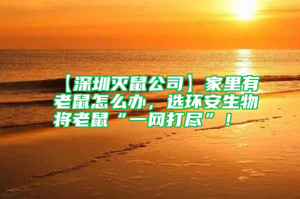 【深圳滅鼠公司】家里有老鼠怎么辦,選環安生物將老鼠“一網打盡”!