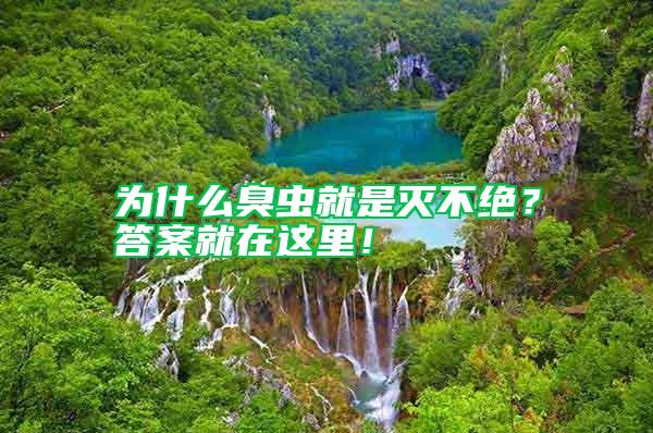 為什么臭蟲就是滅不絕?答案就在這里!