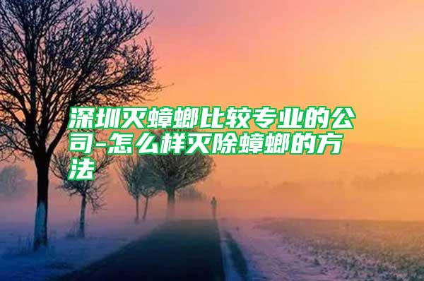 深圳滅蟑螂比較專業的公司-怎么樣滅除蟑螂的方法