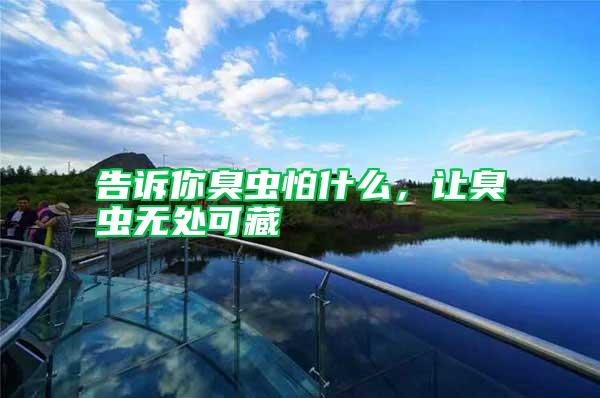 告訴你臭蟲怕什么,讓臭蟲無(wú)處可藏