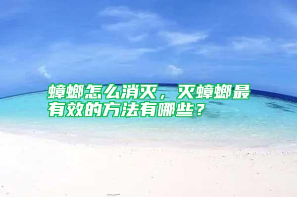 蟑螂怎么消滅，滅蟑螂最有效的方法有哪些？