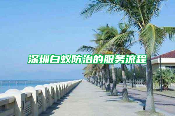 深圳白蟻防治的服務(wù)流程