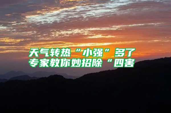 天氣轉(zhuǎn)熱“小強(qiáng)”多了 專家教你妙招除“四害