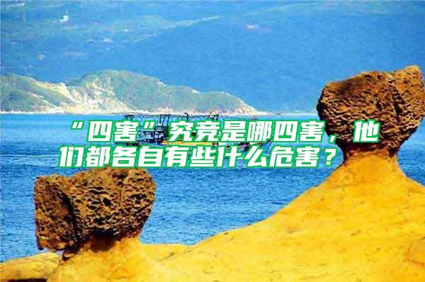 “四害”究競是哪四害，他們都各自有些什么危害？