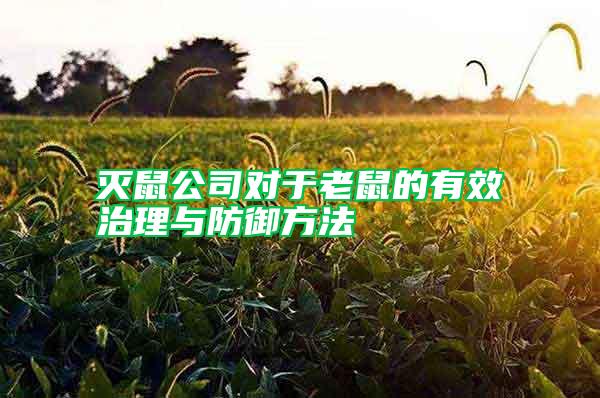 滅鼠公司對(duì)于老鼠的有效治理與防御方法