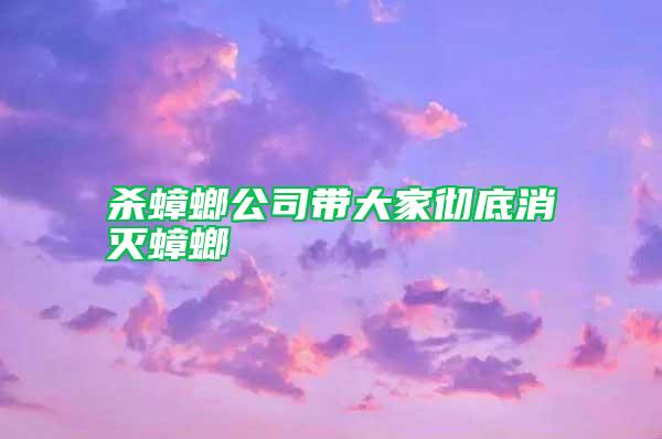 殺蟑螂公司帶大家徹底消滅蟑螂
