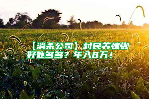 【消殺公司】村民養(yǎng)蟑螂好處多多？年入8萬！