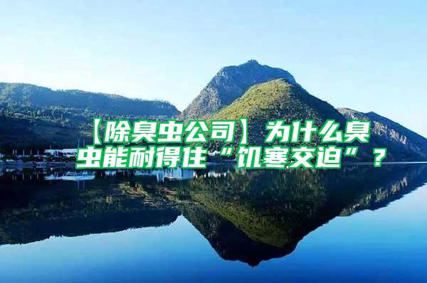 【除臭蟲(chóng)公司】為什么臭蟲(chóng)能耐得住“饑寒交迫”？