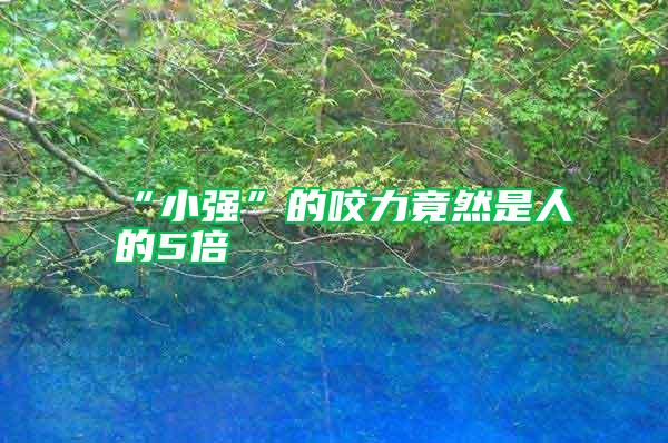 “小強”的咬力竟然是人的5倍