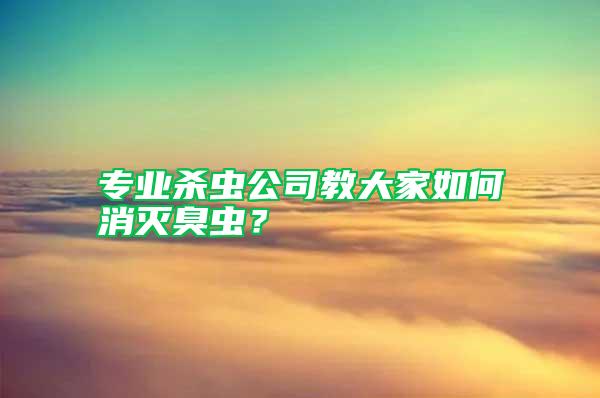 專業殺蟲公司教大家如何消滅臭蟲?