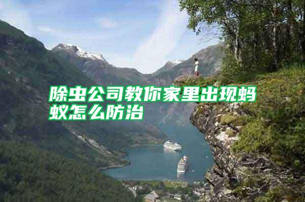 除蟲公司教你家里出現(xiàn)螞蟻怎么防治