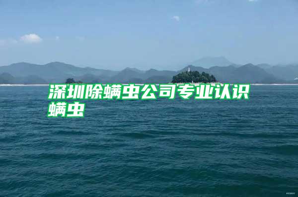 深圳除螨蟲(chóng)公司專(zhuān)業(yè)認(rèn)識(shí)螨蟲(chóng)