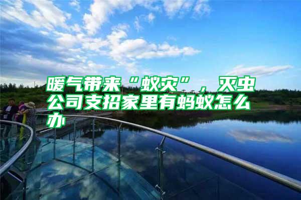 暖氣帶來“蟻災”，滅蟲公司支招家里有螞蟻怎么辦