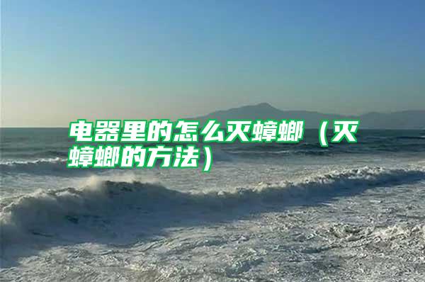 電器里的怎么滅蟑螂(滅蟑螂的方法)