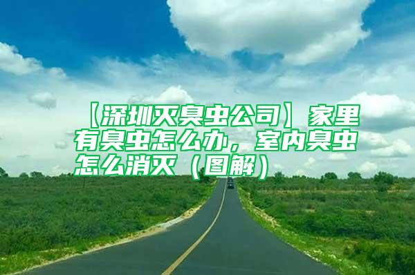 【深圳滅臭蟲公司】家里有臭蟲怎么辦，室內臭蟲怎么消滅（圖解）