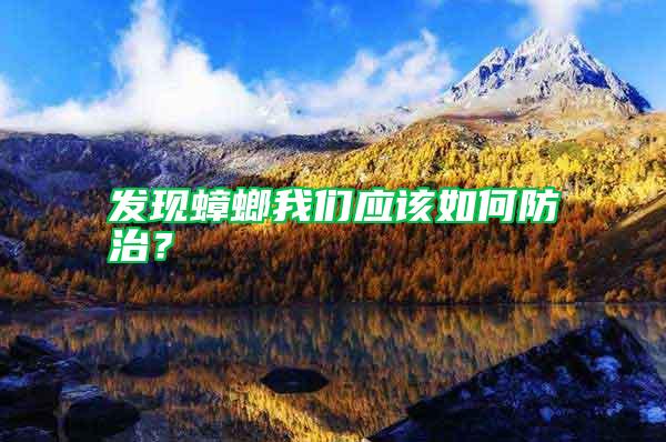 發現蟑螂我們應該如何防治？