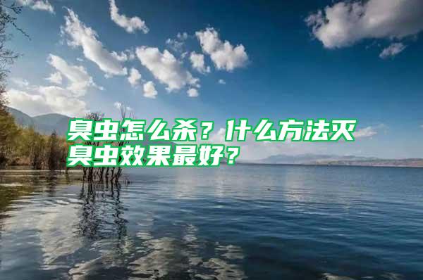 臭蟲怎么殺?什么方法滅臭蟲效果最好?
