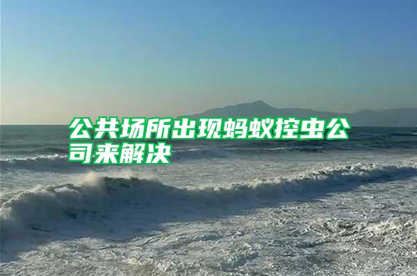 公共場(chǎng)所出現(xiàn)螞蟻控蟲公司來解決