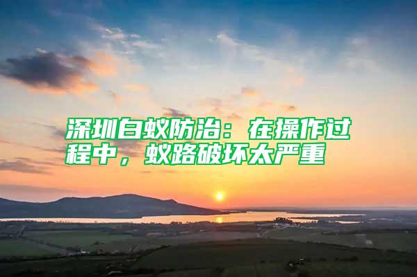 深圳白蟻防治：在操作過程中，蟻路破壞太嚴重