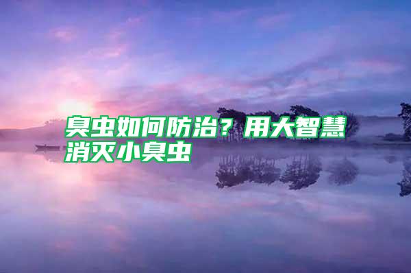 臭蟲如何防治?用大智慧消滅小臭蟲