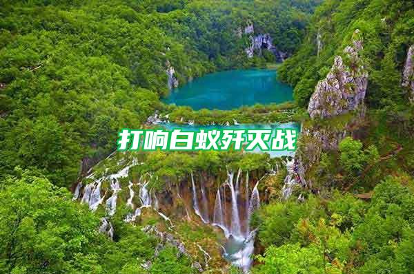 打響白蟻殲滅戰(zhàn)