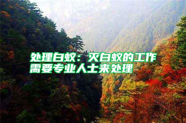 處理白蟻:滅白蟻的工作需要專業(yè)人士來處理