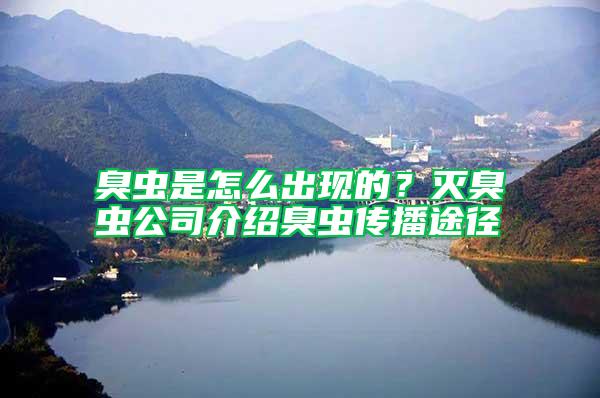 臭蟲是怎么出現(xiàn)的？滅臭蟲公司介紹臭蟲傳播途徑