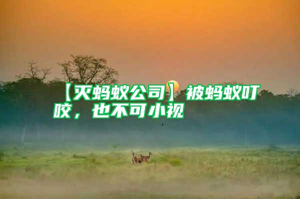 【滅螞蟻公司】被螞蟻叮咬，也不可小視