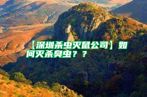【深圳殺蟲滅鼠公司】如何滅殺臭蟲？？