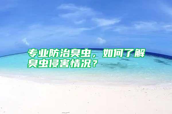 專業防治臭蟲，如何了解臭蟲侵害情況？