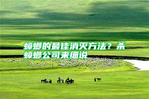 蟑螂的最佳消滅方法？殺蟑螂公司來細(xì)說