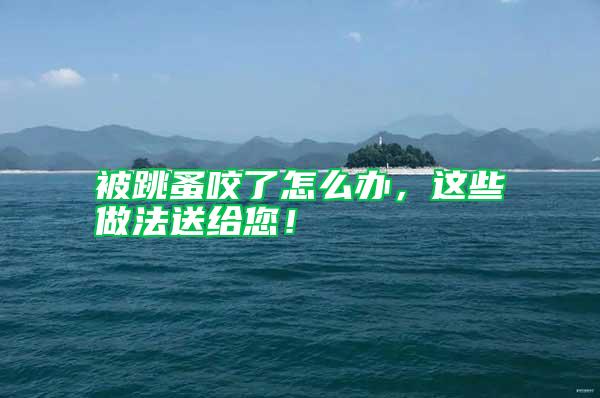 被跳蚤咬了怎么辦，這些做法送給您！
