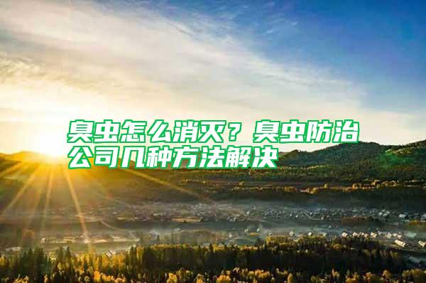 臭蟲(chóng)怎么消滅？臭蟲(chóng)防治公司幾種方法解決