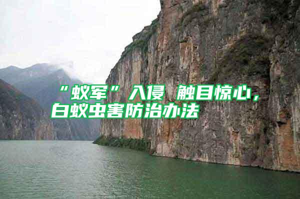 “蟻軍”入侵 觸目驚心，白蟻蟲害防治辦法