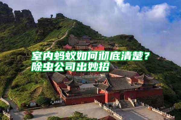 室內(nèi)螞蟻如何徹底清楚？除蟲公司出妙招