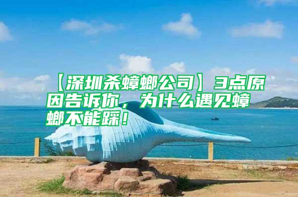 【深圳殺蟑螂公司】3點(diǎn)原因告訴你，為什么遇見蟑螂不能踩！