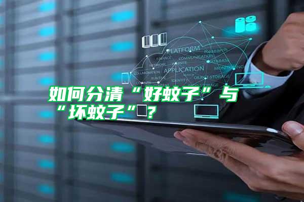 如何分清“好蚊子”與“壞蚊子”？