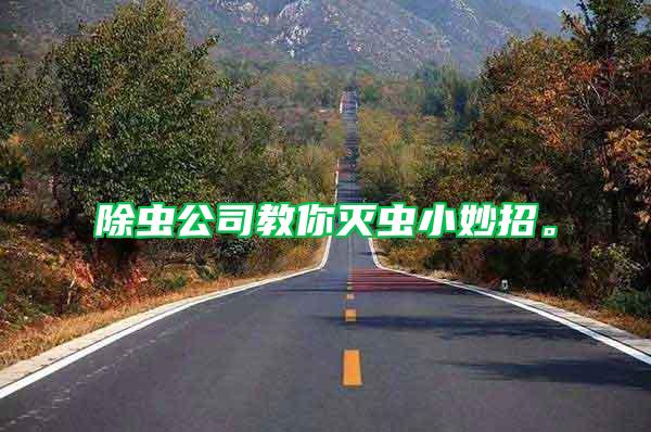 除蟲公司教你滅蟲小妙招。