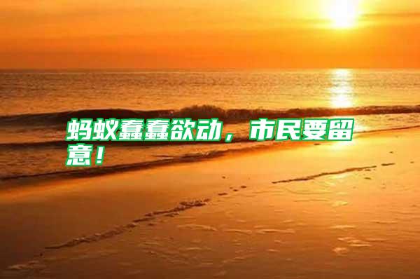 螞蟻蠢蠢欲動，市民要留意！