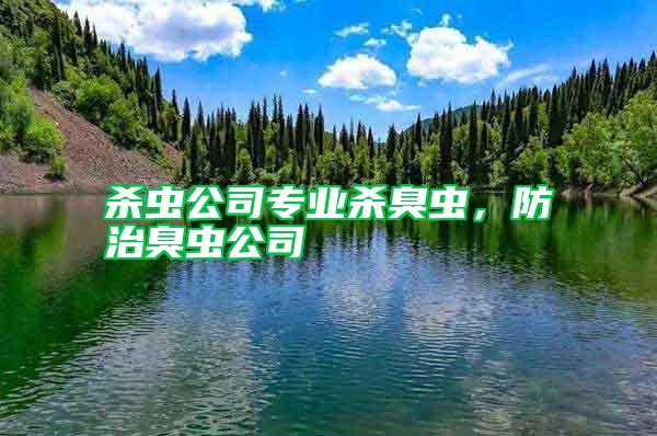 殺蟲公司專業(yè)殺臭蟲，防治臭蟲公司