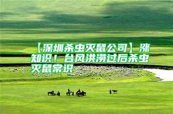 【深圳殺蟲滅鼠公司】漲知識!臺風洪澇過后殺蟲滅鼠常識